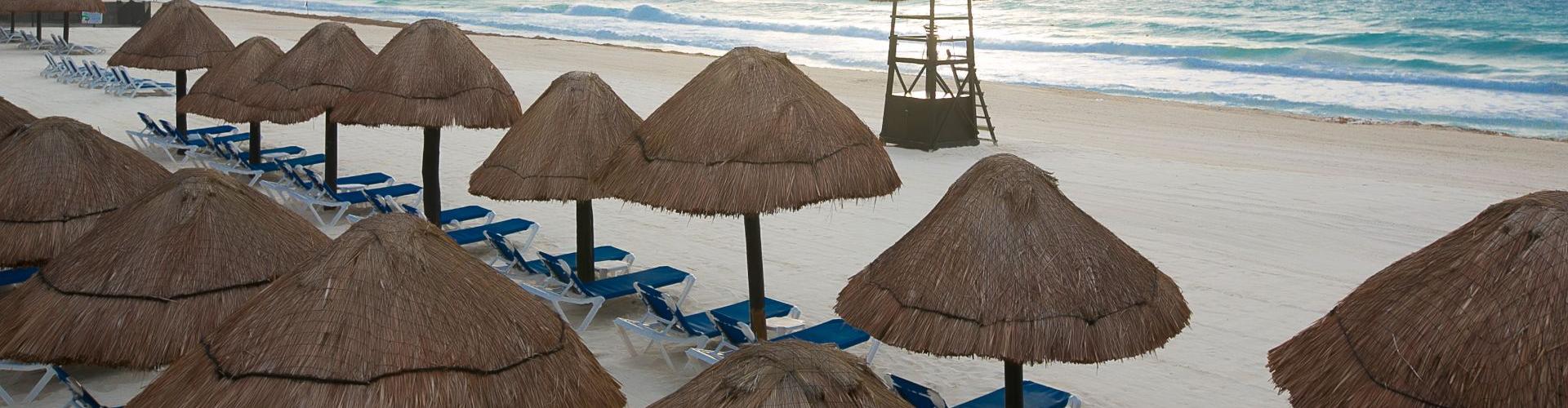 Golden parnassus (NEW) - Cancún - Golden parnassus (NEW) - Cancún -